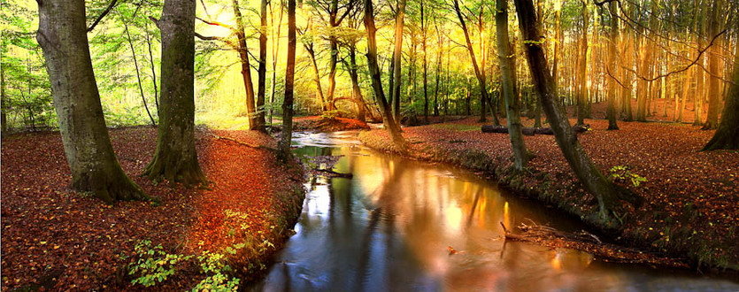  : NATURE : design :: PARIS