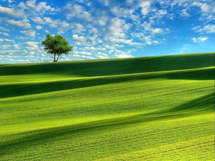  : NATURE : design :: PARIS